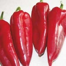 Kapya Biber